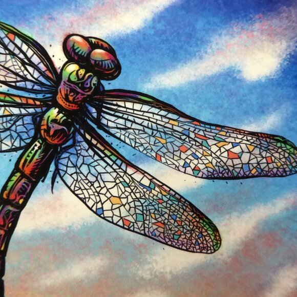 “CATHEDRAL” DRAGONFLY STAINED GLASS WINGS FRAMED SIGNED ART PRINT CHET PHILLIPS - Picture 5 of 9